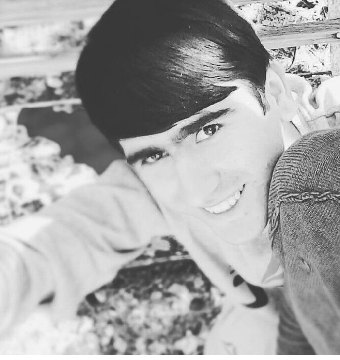  19013457  Tigr, 28 ,    