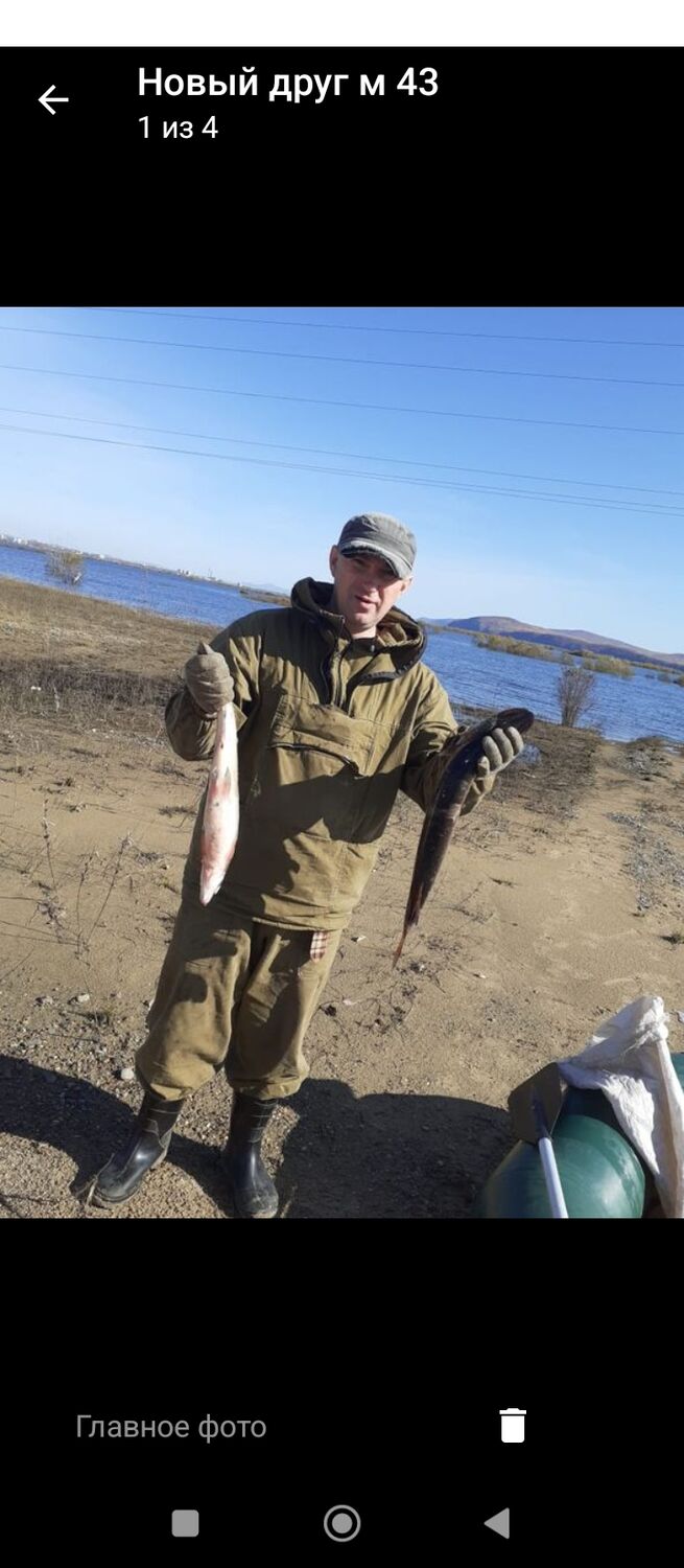  54368167  , 44 ,    --