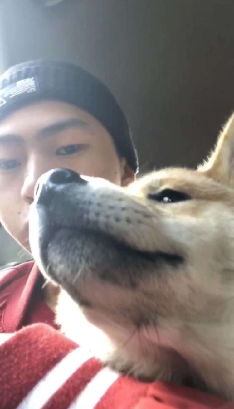 ���� 33168707 ����� Gd, 25 ���, ���� ���������� � ������