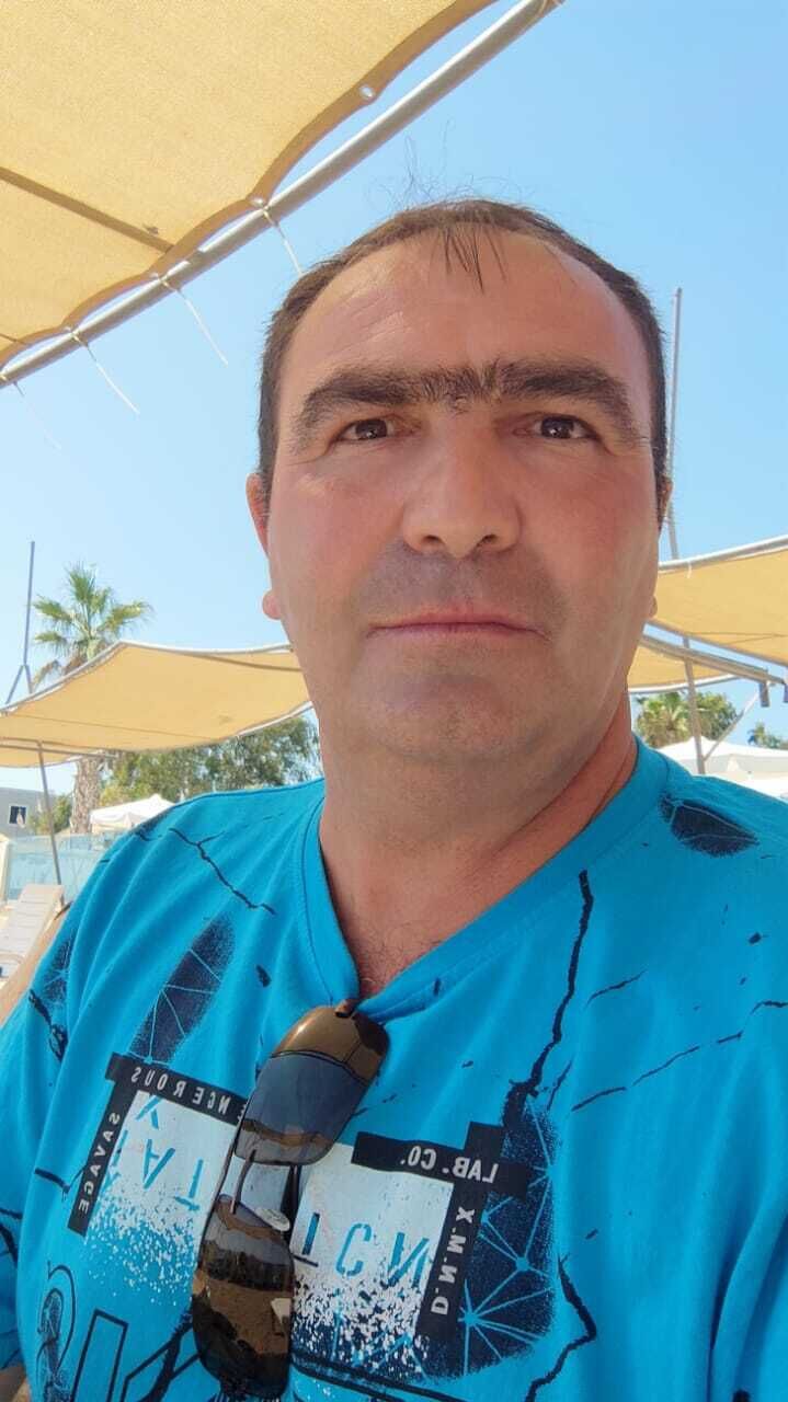  41936337  , 43 ,    