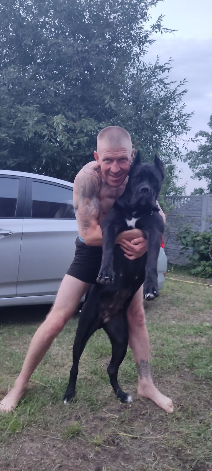  ,   , 43 ,  