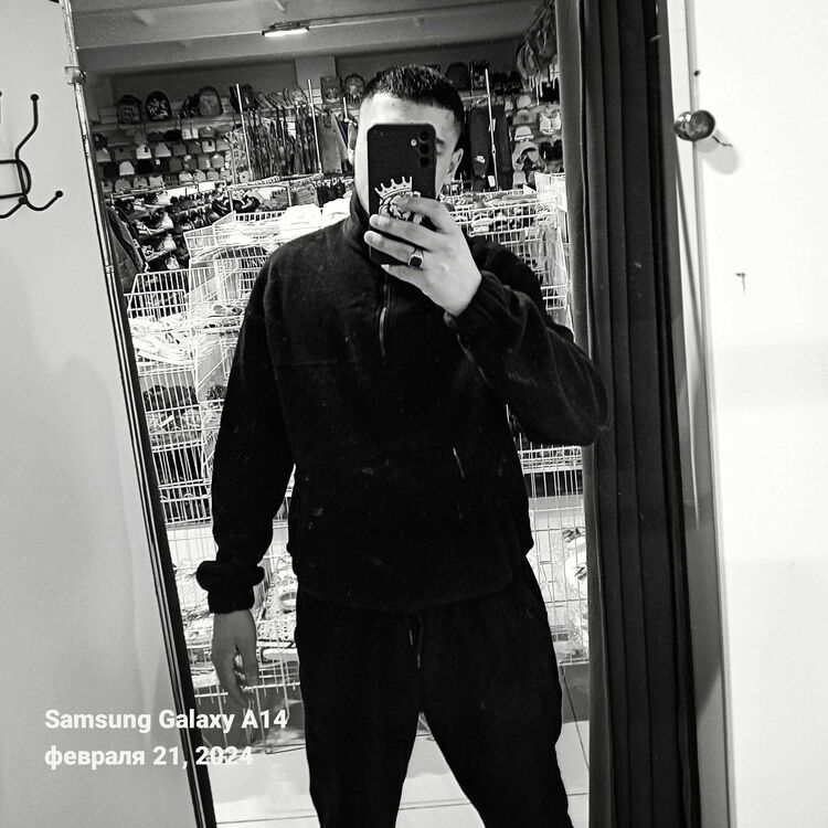  44266517  DIMA, 22 ,    