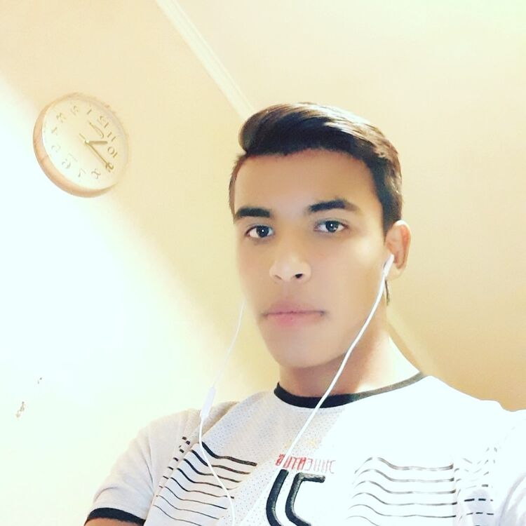 ���������� ������, ���� ����� ��������, 24 ����, ������������ ��� ������, ����� � ���������, c�������� ���������, ���������