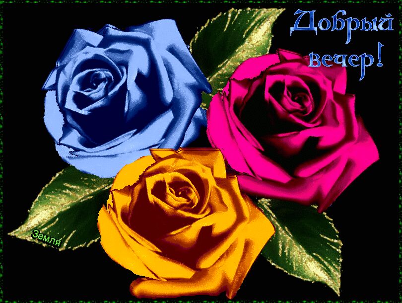 ���������� ��������, ���� ������� �������, 37 ���, ������������ ��� c�������� ���������, ���������