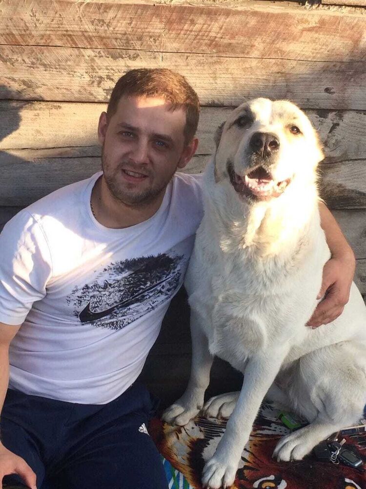 ���������� ��������, ���� ������� ����, 33 ����, ������������ ��� ������, ����� � ���������