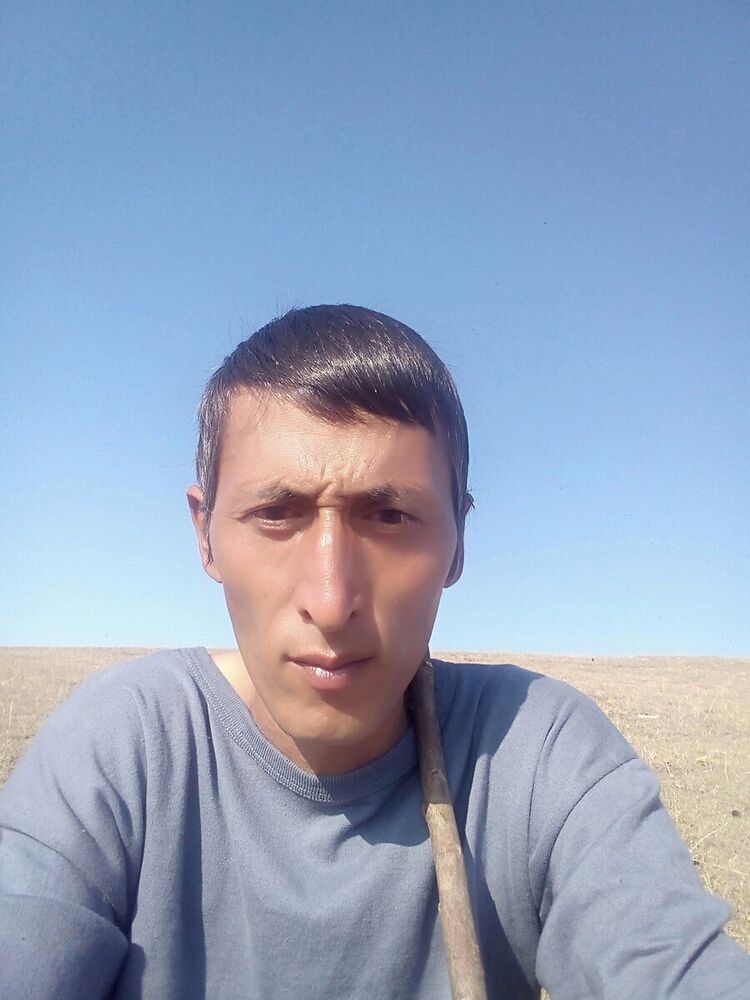  21146767  , 44 ,    
