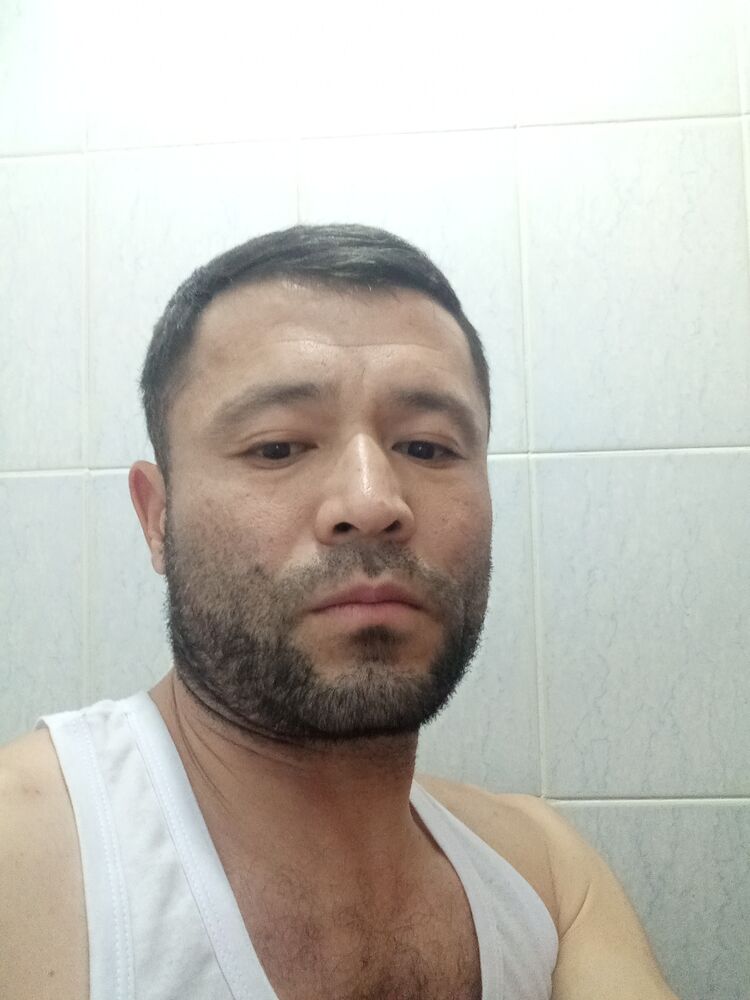 ���� 37980287 ������� �����, 32 ����, ���� ���������� � ��������