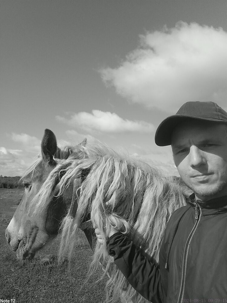 ���������� ������, ���� ������� �������, 26 ���, ������������ ��� ������, ����� � ���������, c�������� ���������, ���������