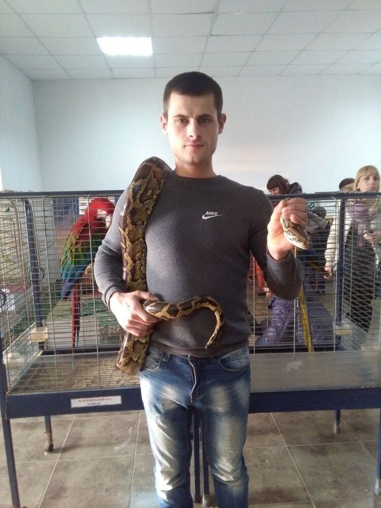 ���� 9687667 ������� ����, 35 ���, ���� ���������� � ��������