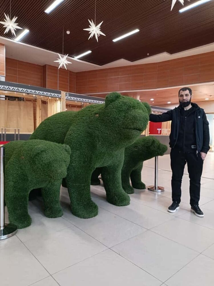 ���� 55194957 ������� ��������, 35 ���, ���� ���������� � ��������