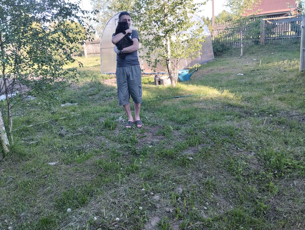 43432257  , 38 ,    
