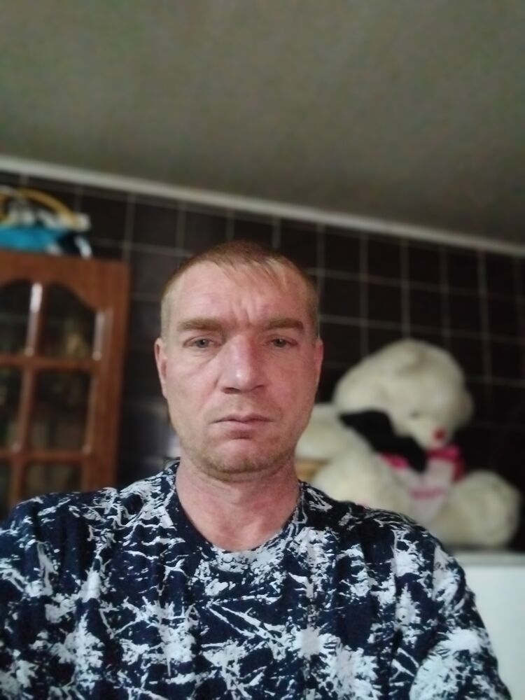  43266387  , 39 ,    