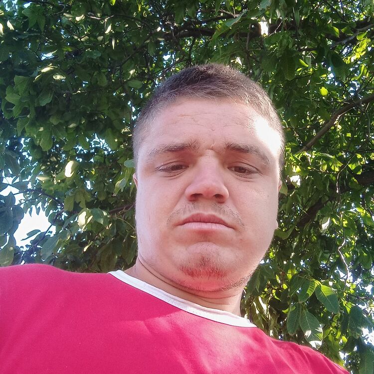 ���� 43105467 ������� ������, 31 ���, ���� ���������� � �����