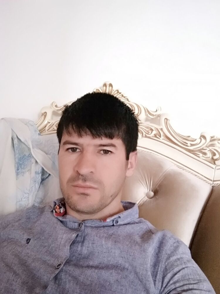  18631087  , 36 ,    