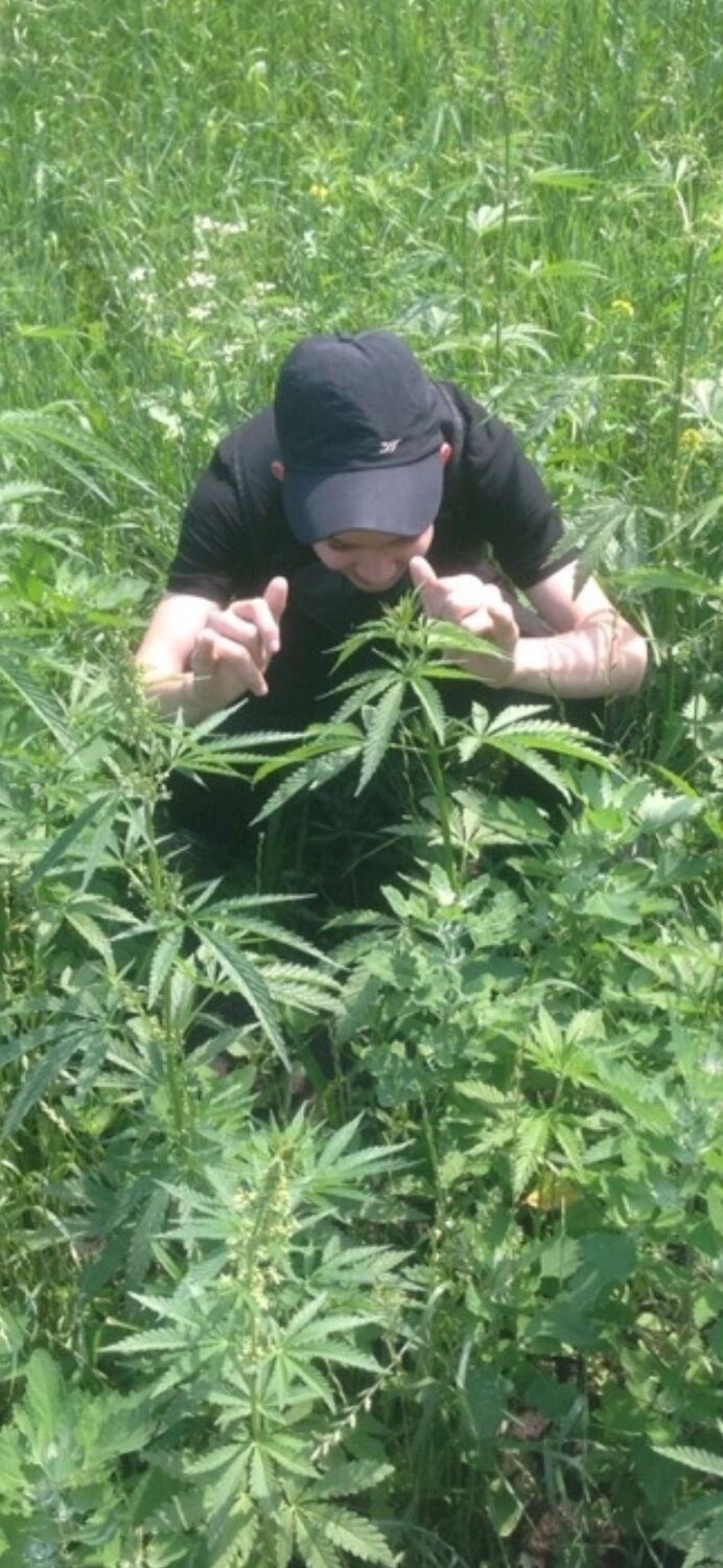  27440347  Alexander, 23 ,    