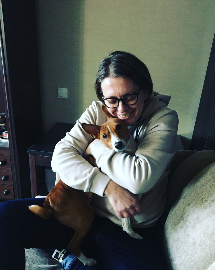  26927797  , 43 ,    -