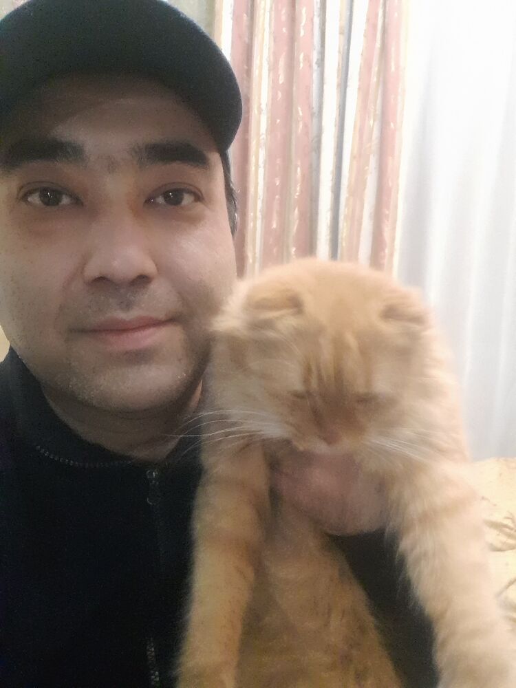 ���� 56258207 ������� Timic, 37 ���, ���� ���������� � ��������