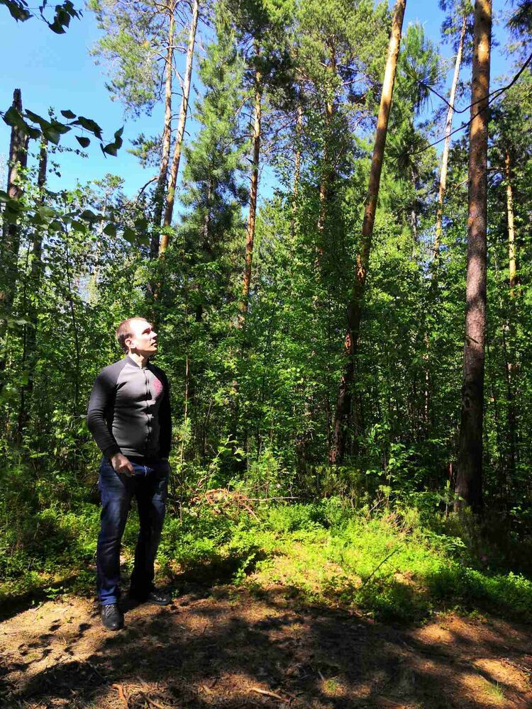 ���������� �������������, ���� ������� ����, 35 ���, ������������ ��� ������, ����� � ���������, ���������