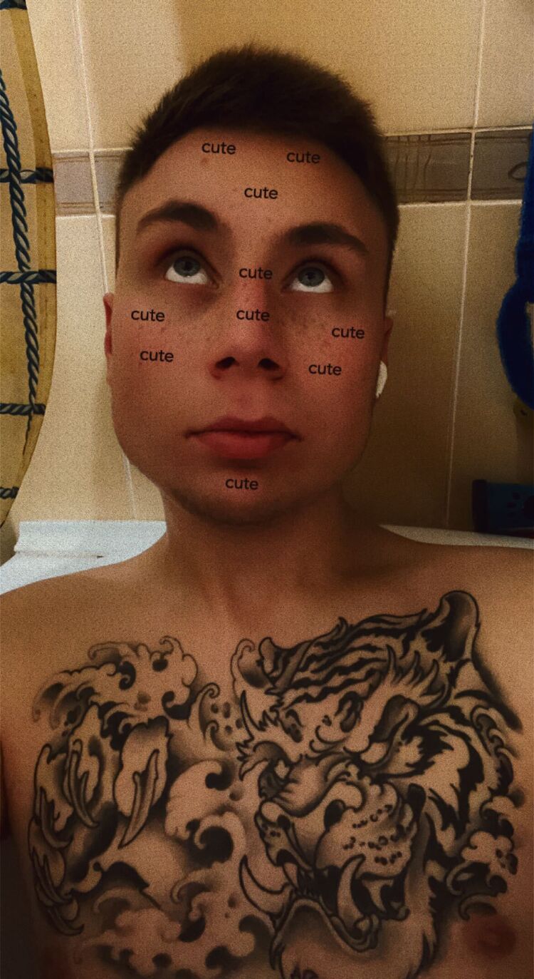  27062227  , 26 ,    