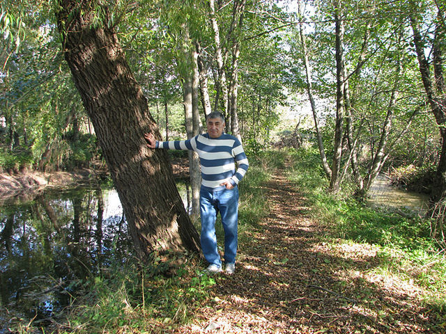  5206977  Barsa, 60 ,    
