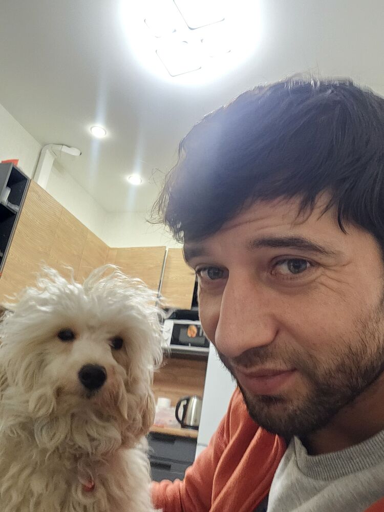 ���� 47973787 ������� Meto, 36 ���, ���� ���������� � ������