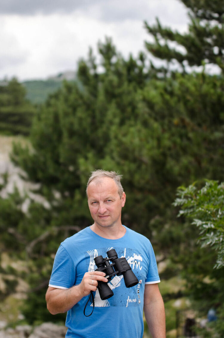  29676247  , 44 ,    -