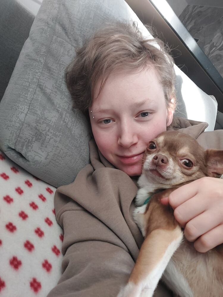 ���������� �����-���������, ���� ������� �����, 24 ����, ������������ ��� ����� � ���������, c�������� ���������, ���������