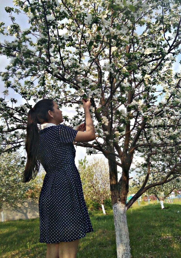 ���������� ������, ���� ������� �������, 25 ���, ������������ ��� ����� � ���������, c�������� ���������