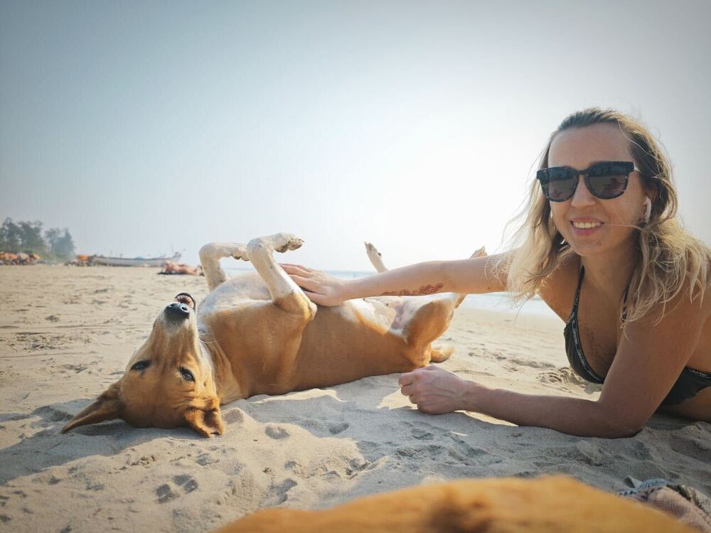 ���������� �����������, ���� ������� �����, 43 ����, ������������ ��� ����� � ���������, c�������� ���������