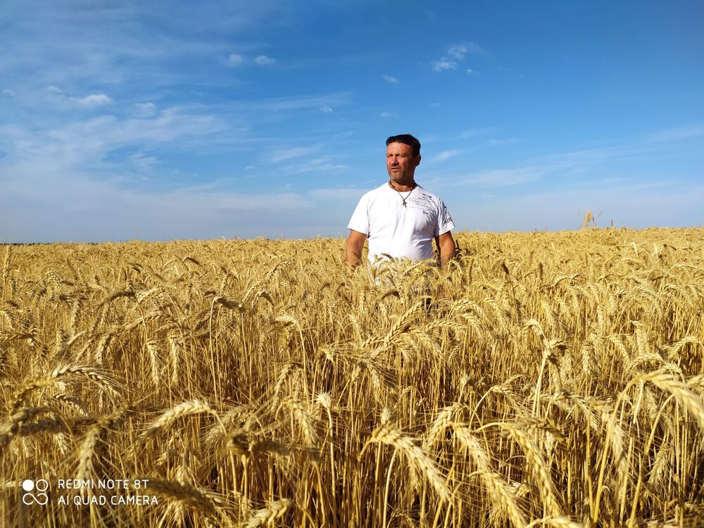 ���� 39818187 ������� ���������, 45 ���, ���� ���������� � ������