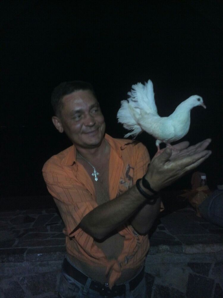 ���� 8435857 ������� �����, 51 ���, ���� ���������� � �������