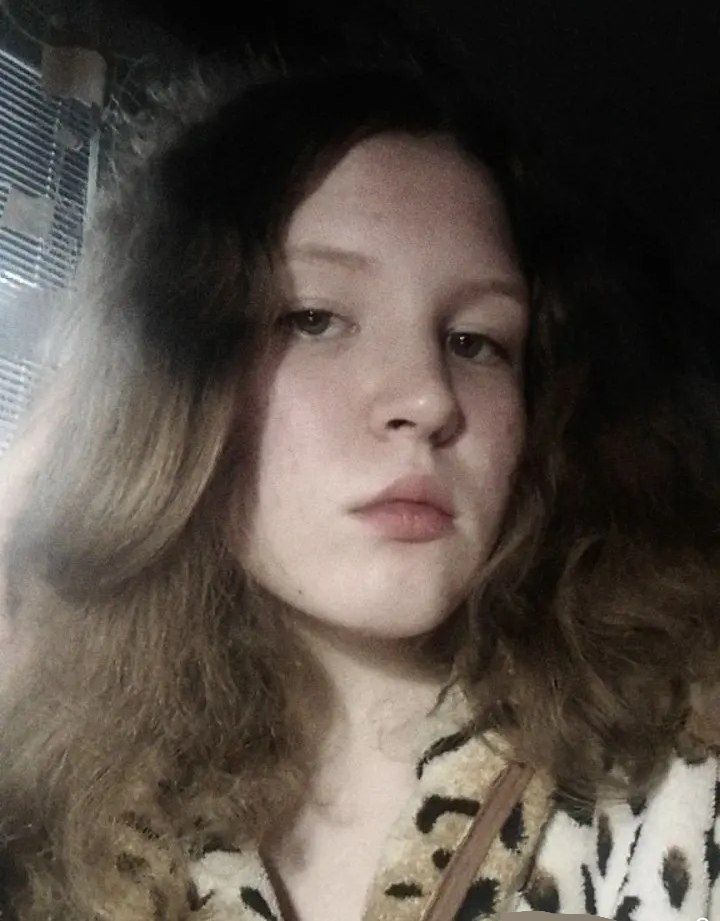  53329087  , 19 ,    