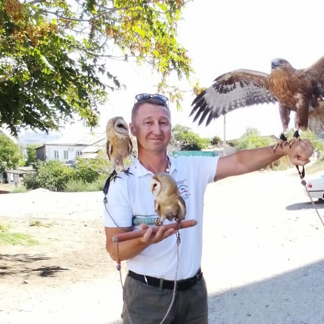 ���������� �������������-����������, ���� ������� Alex, 56 ���, ������������ ��� ������, ����� � ���������, c�������� ���������, ���������