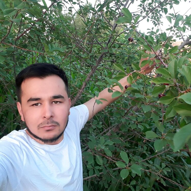 ���������� ������, ���� ������� �����, 34 ����, ������������ ��� ������, ����� � ���������, c�������� ���������, ���������