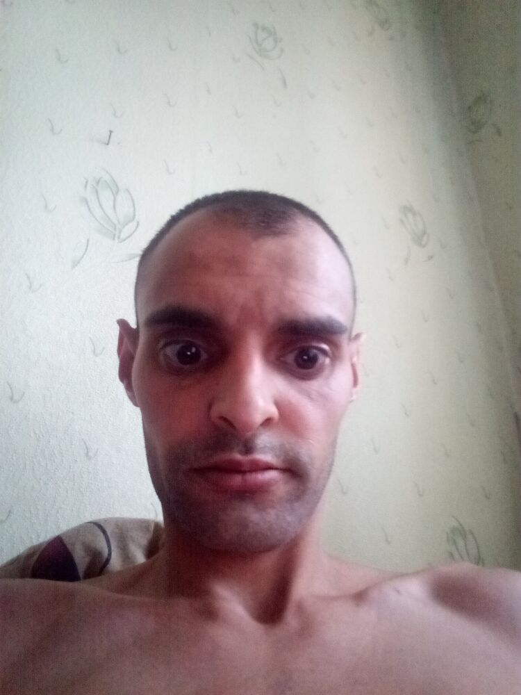  44605007  , 31 ,    