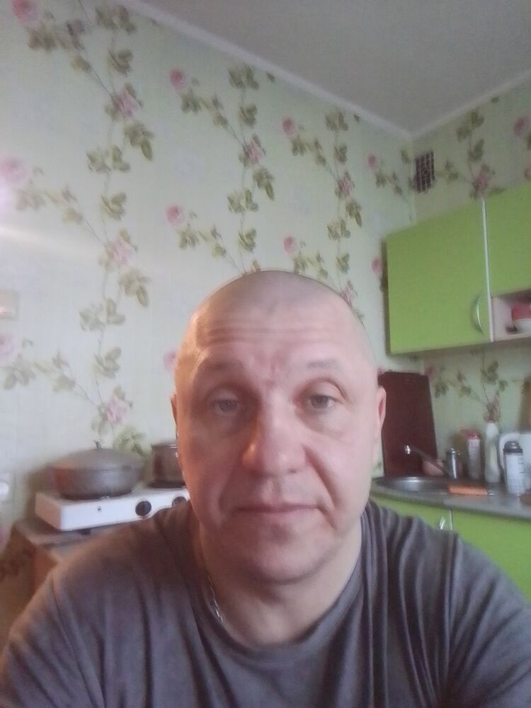  31586427  , 43 ,    
