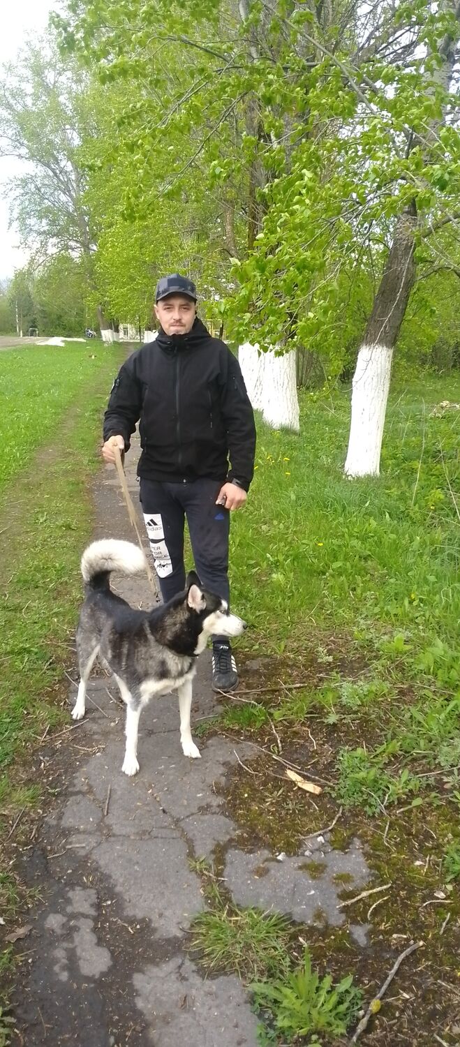  ,   , 33 ,   c , 