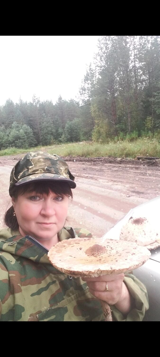 ���������� �����-���������, ���� ������� ���������, 60 ���, ������������ ��� ����� � ���������, c�������� ���������