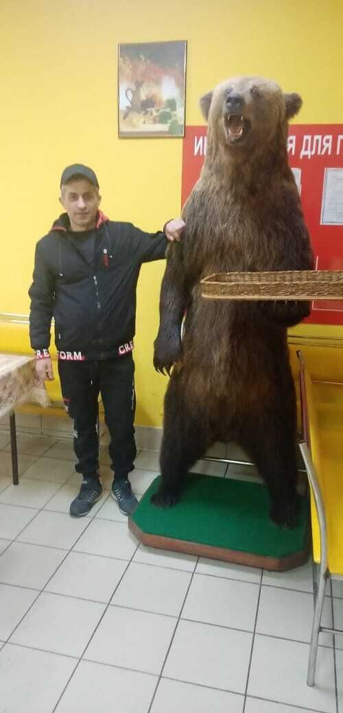  54582117  Boris, 41 ,    