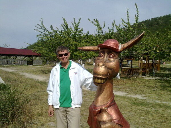  4863947  Ants, 80 ,    