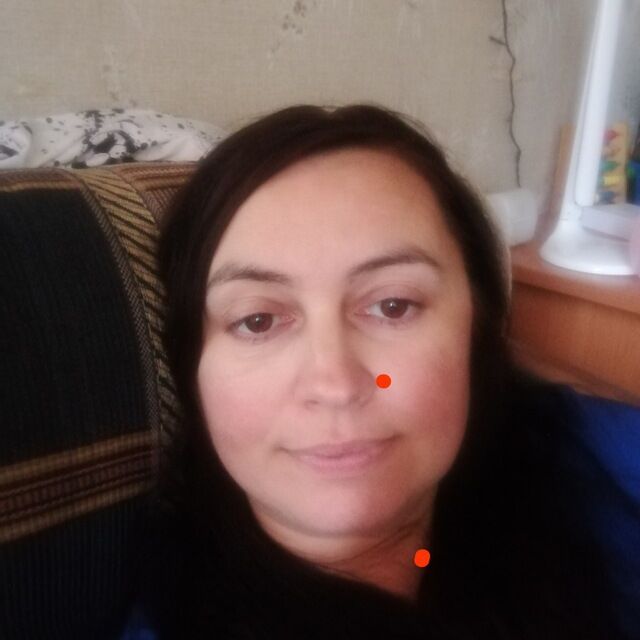  49505887  , 41 ,    -