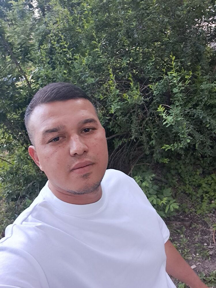  53100617  , 31 ,    