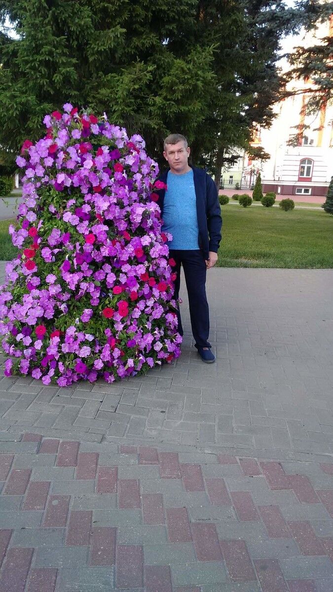 ���������� ������, ���� ������� ����, 44 ����, ������������ ��� ������, ����� � ���������, c�������� ���������