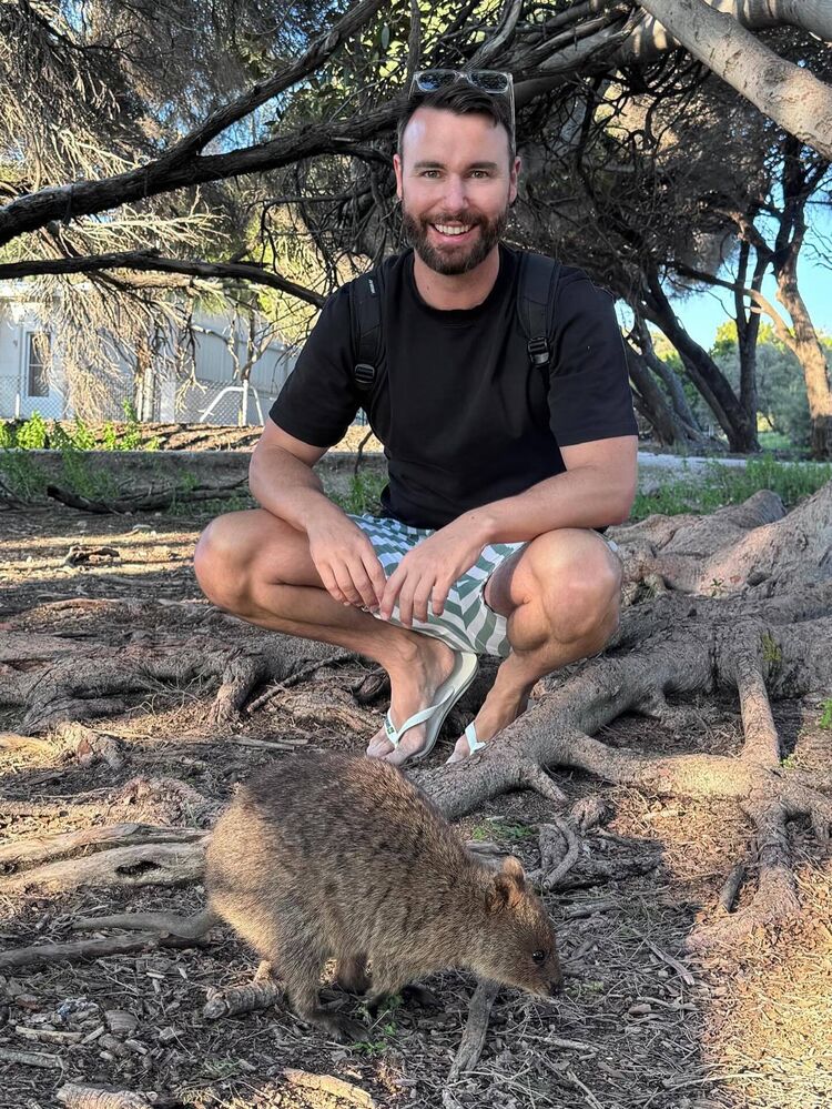 ���� 55694947 ������� �������, 36 ���, ���� ���������� � ����������