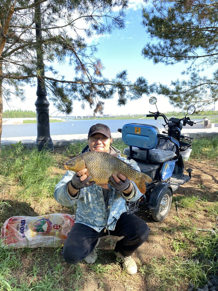 ���������� ������, ���� ������� �����, 49 ���, ������������ ��� ������, ����� � ���������, ���������