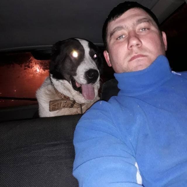 ���������� ������, ���� ������� ����, 49 ���, ������������ ��� ������, ����� � ���������, c�������� ���������