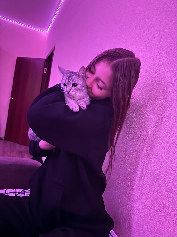 ���������� ������, ���� ������� �����, 22 ����, ������������ ��� ������, ����� � ���������