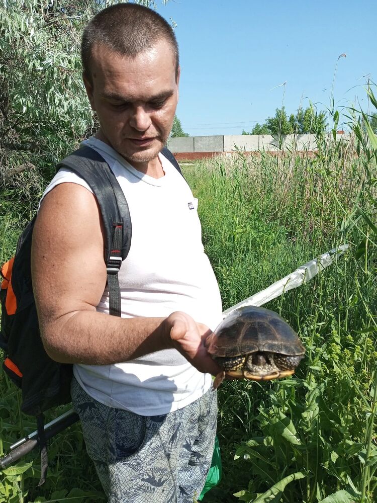 ���������� �������, ���� ������� �������, 37 ���, ������������ ��� ������, ����� � ���������, ���������