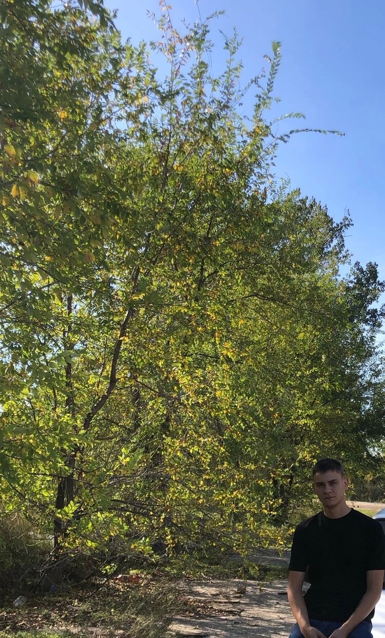 ���� 30804177 ����� Nikita, 23 ����, ���� ���������� � ��������