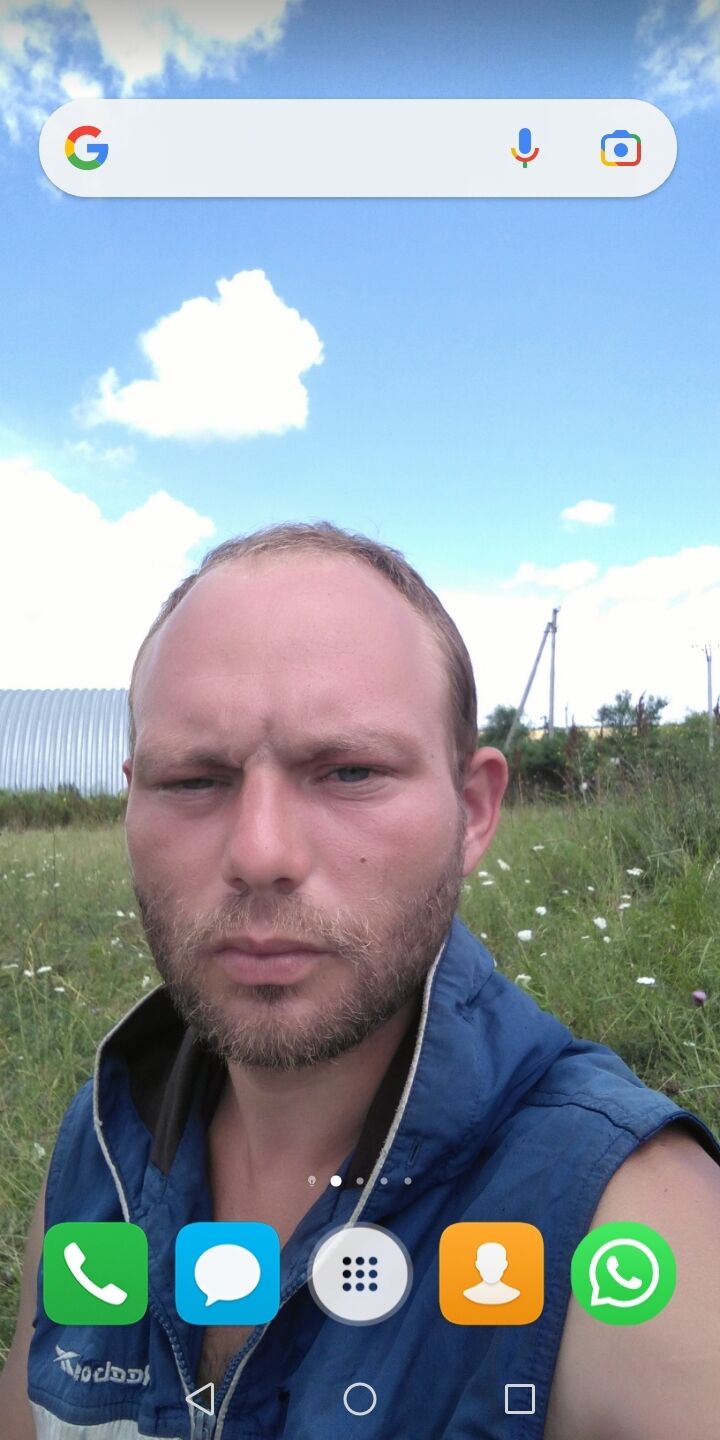  36021627  , 31 ,     